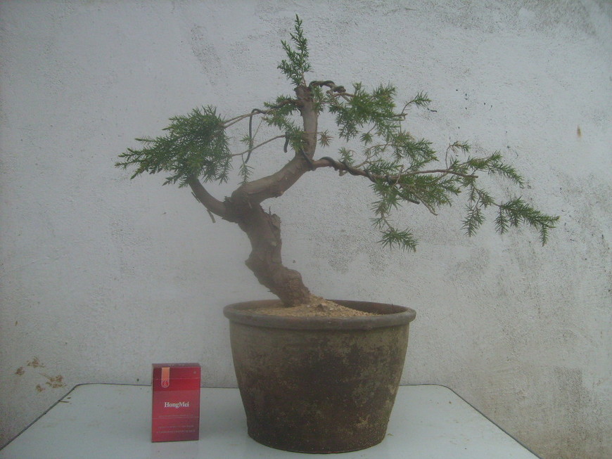 S7300565.JPG