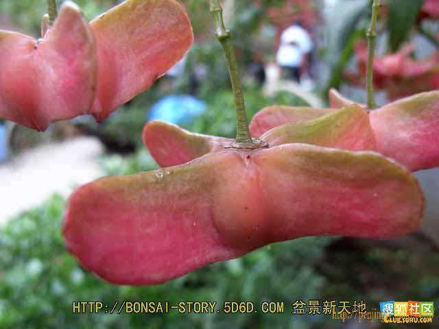 09072301075583308f6d538770.jpg