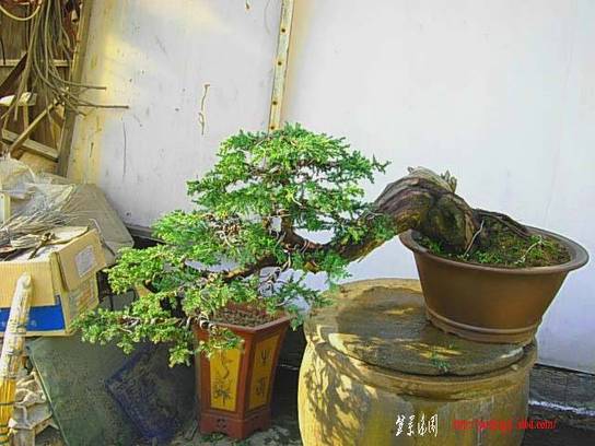DSCN6847.JPG