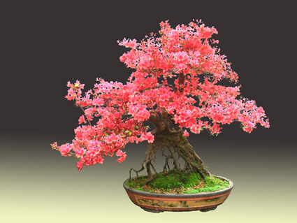 DSCN3293.JPG