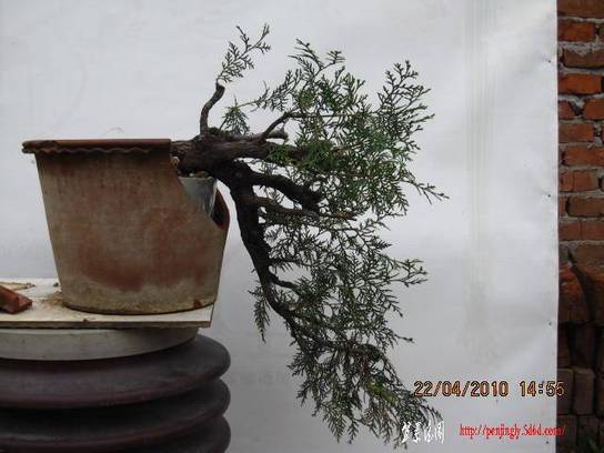 Ƭ 058.jpg