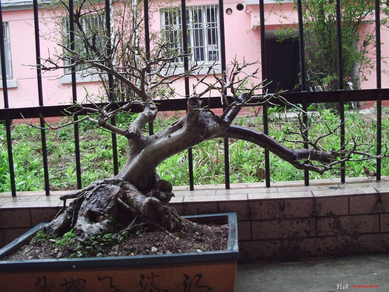 PHOT0033.JPG