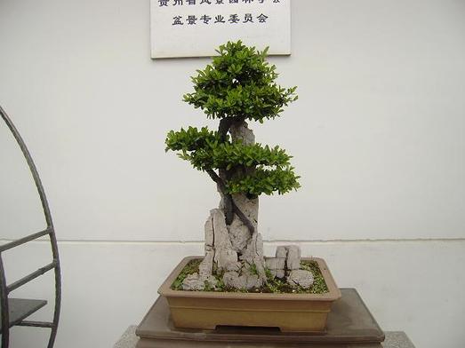 PC210028.JPG