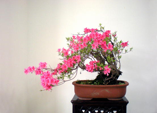 DSCN2272.JPG