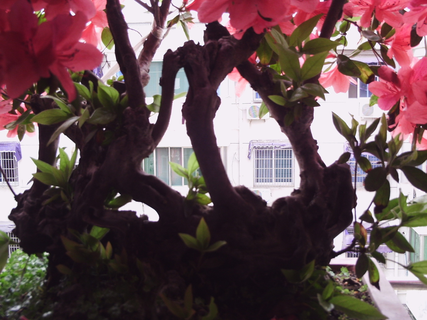 PHOT0044.JPG