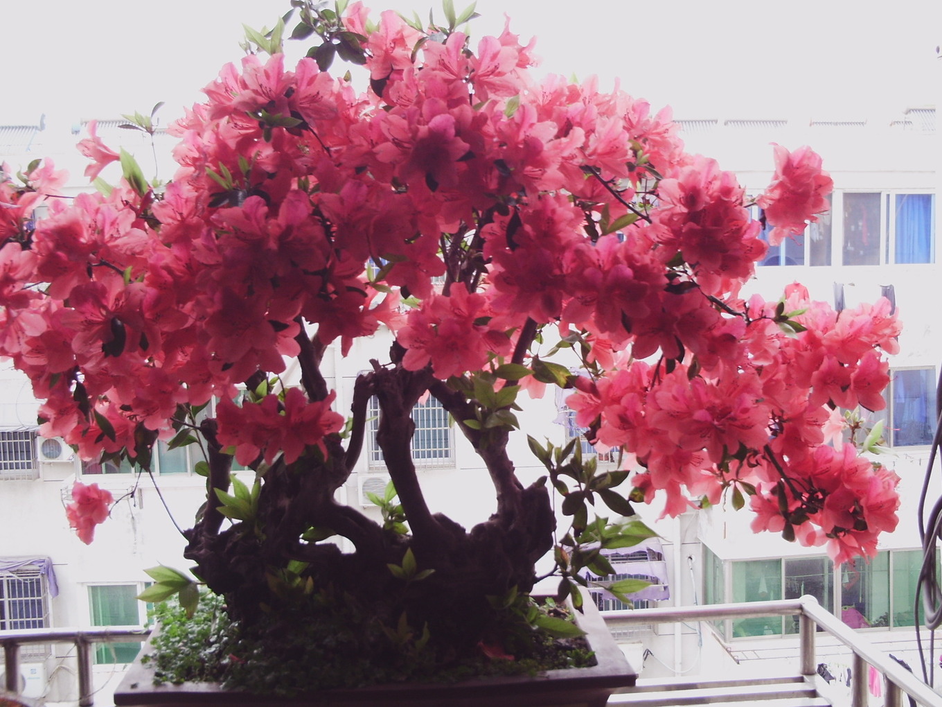 PHOT0042.JPG