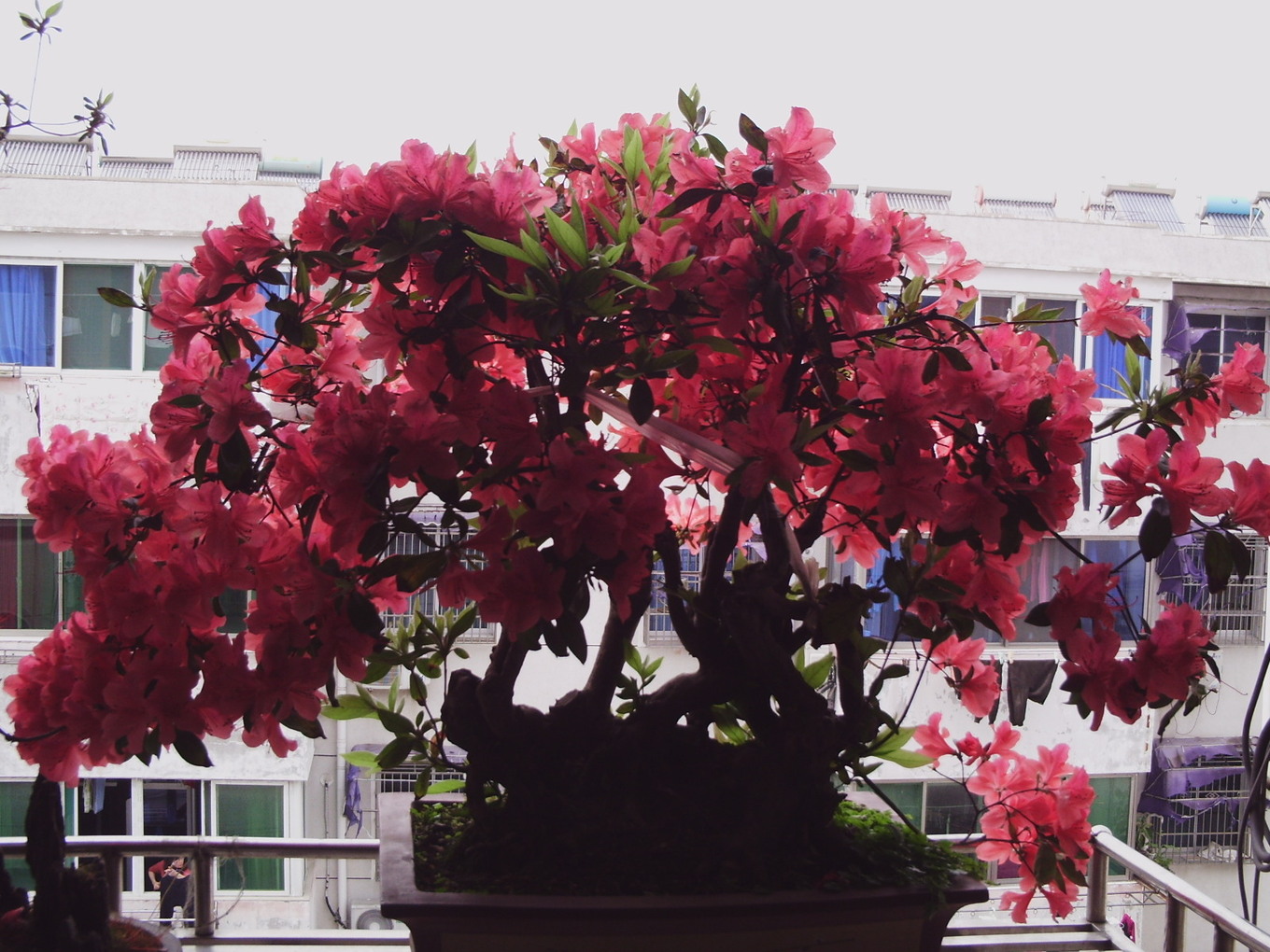 PHOT0040.JPG