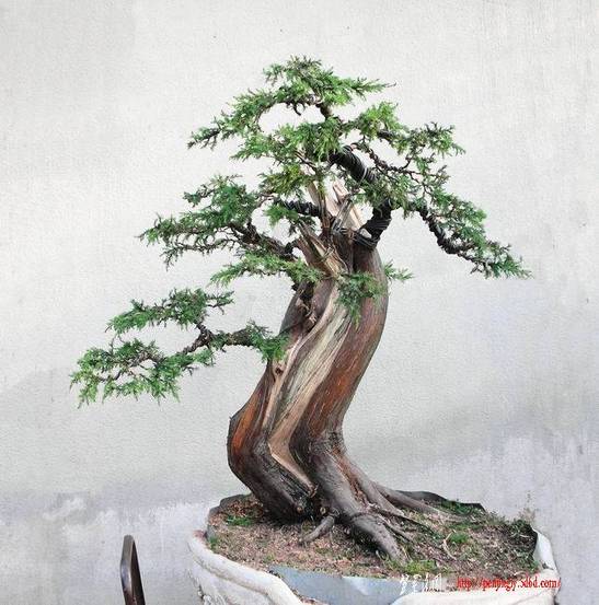 DSCN6189.JPG