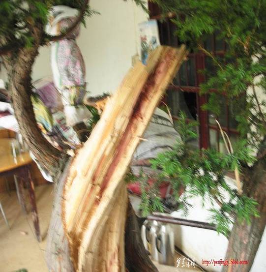 DSCN6145.JPG