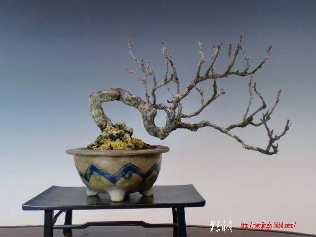 220121-010.jpg