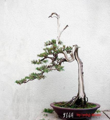 DSCN4658.JPG