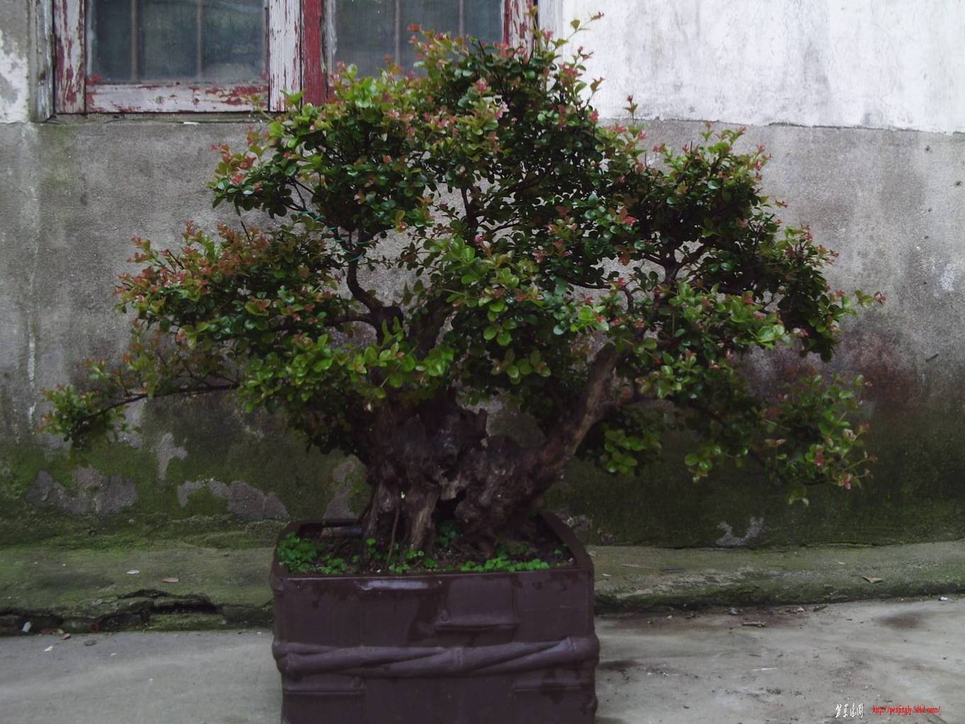PHOT0058.JPG