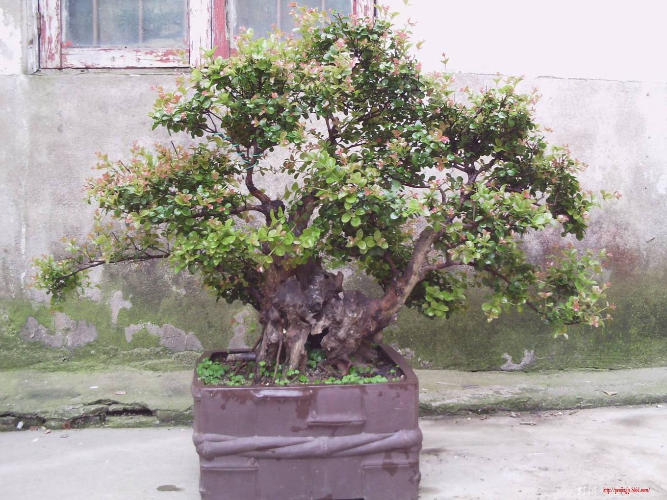 PHOT0059.JPG
