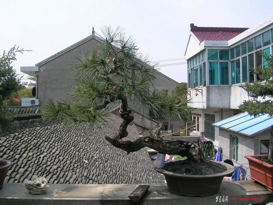 ������С DSCN8660.JPG