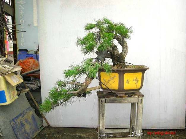 DSCN3499.JPG