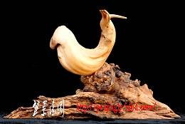 DSC00777999.jpg