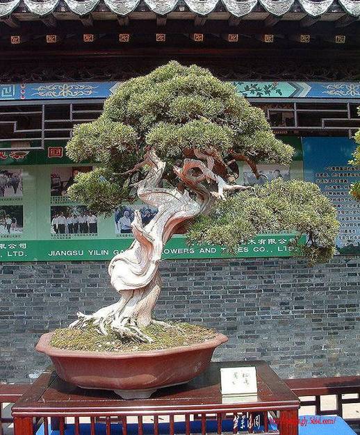 DSCF0031.JPG