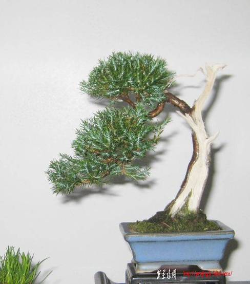 20081222_c8fe9515bbcd0f66ee4bJIiZhTMNBo7H.jpg