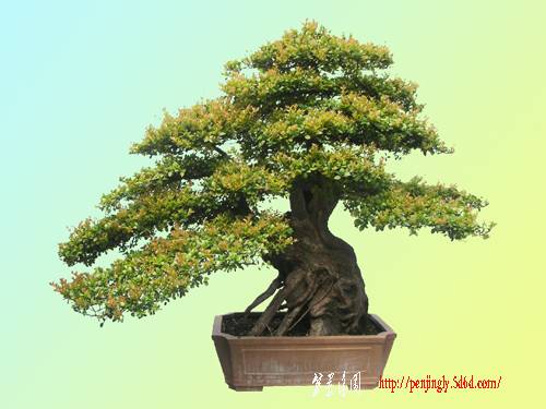 DSCN4855.JPG