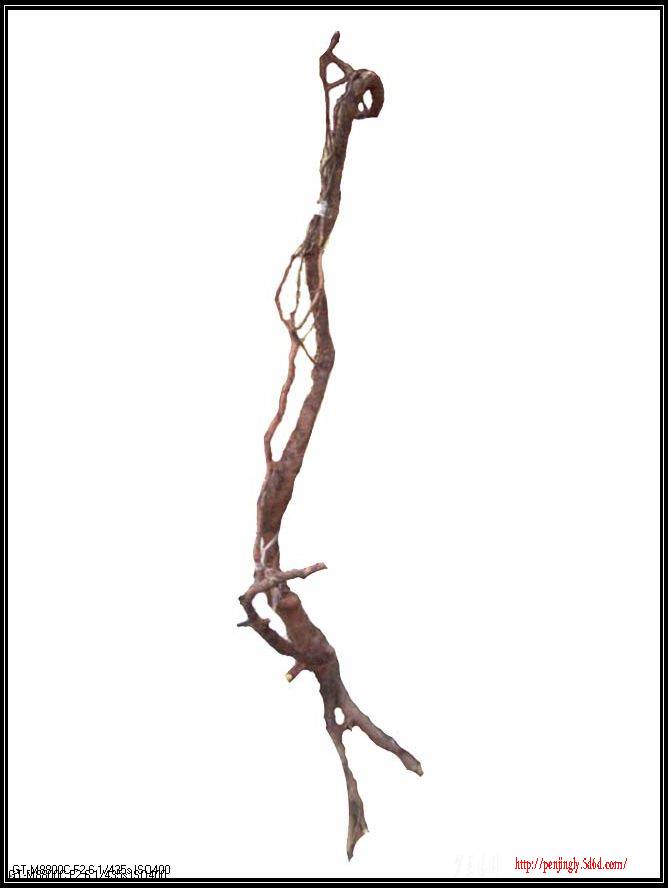 Ƭ01562.jpg