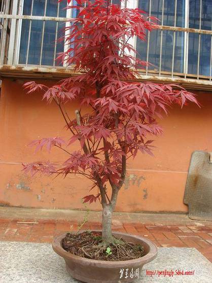 Ƭ 092.jpg