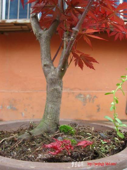 Ƭ 094.jpg