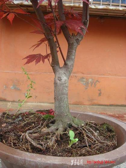 Ƭ 095.jpg