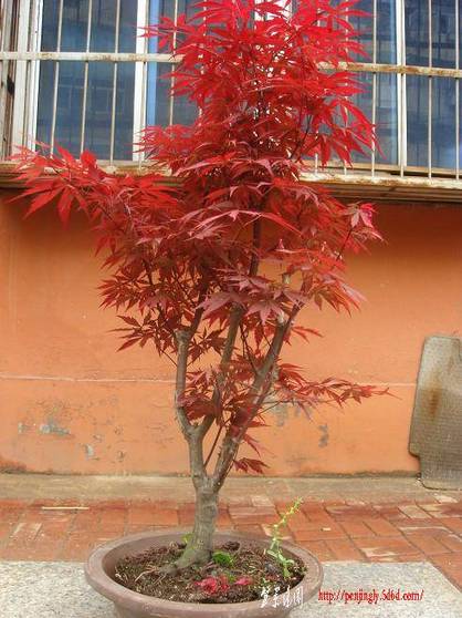 Ƭ 093.jpg