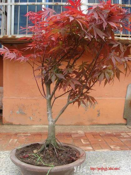 Ƭ 096.jpg