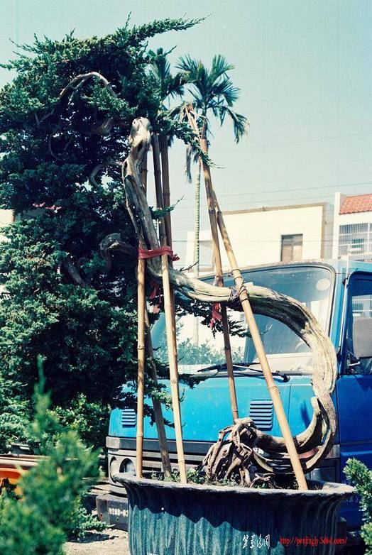 a1Ȱظǰ.jpg