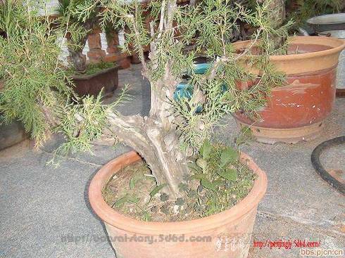 20081007_9e5e9637d85f438a8e71spxvbc9x1GfN.jpg