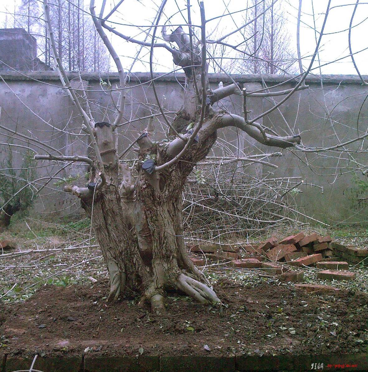 200911 (9).jpg