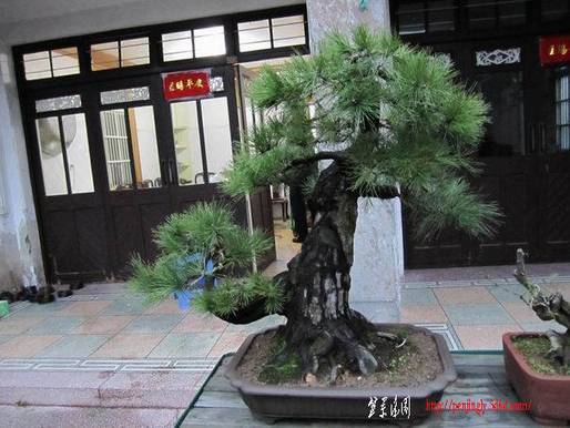 abbr_dcbcf8df14886d65fa2490c2ad399adf.jpg
