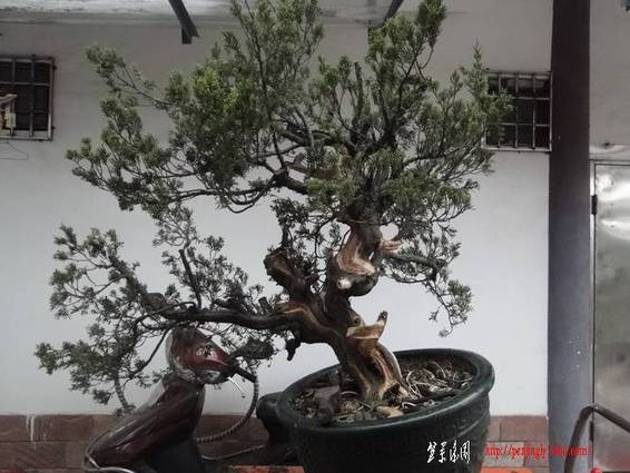 ���� DSC01147_������С.JPG