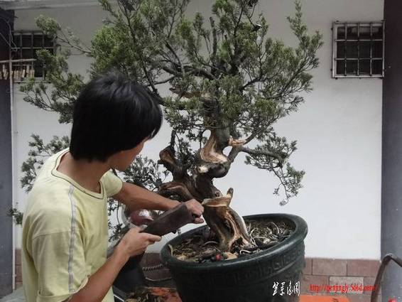 ���� DSC01145_������С.JPG