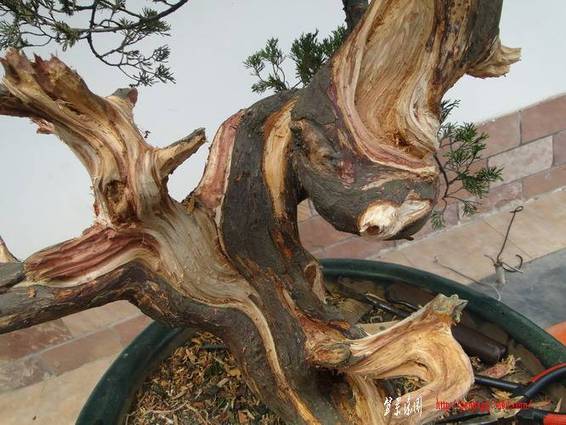 ���� DSC01153_������С.JPG