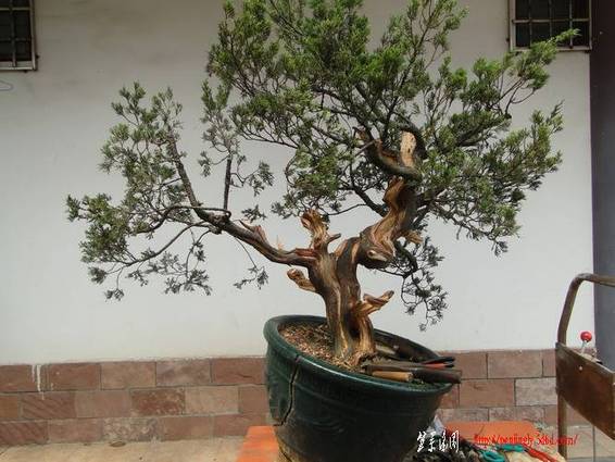 ���� DSC01150_������С.JPG