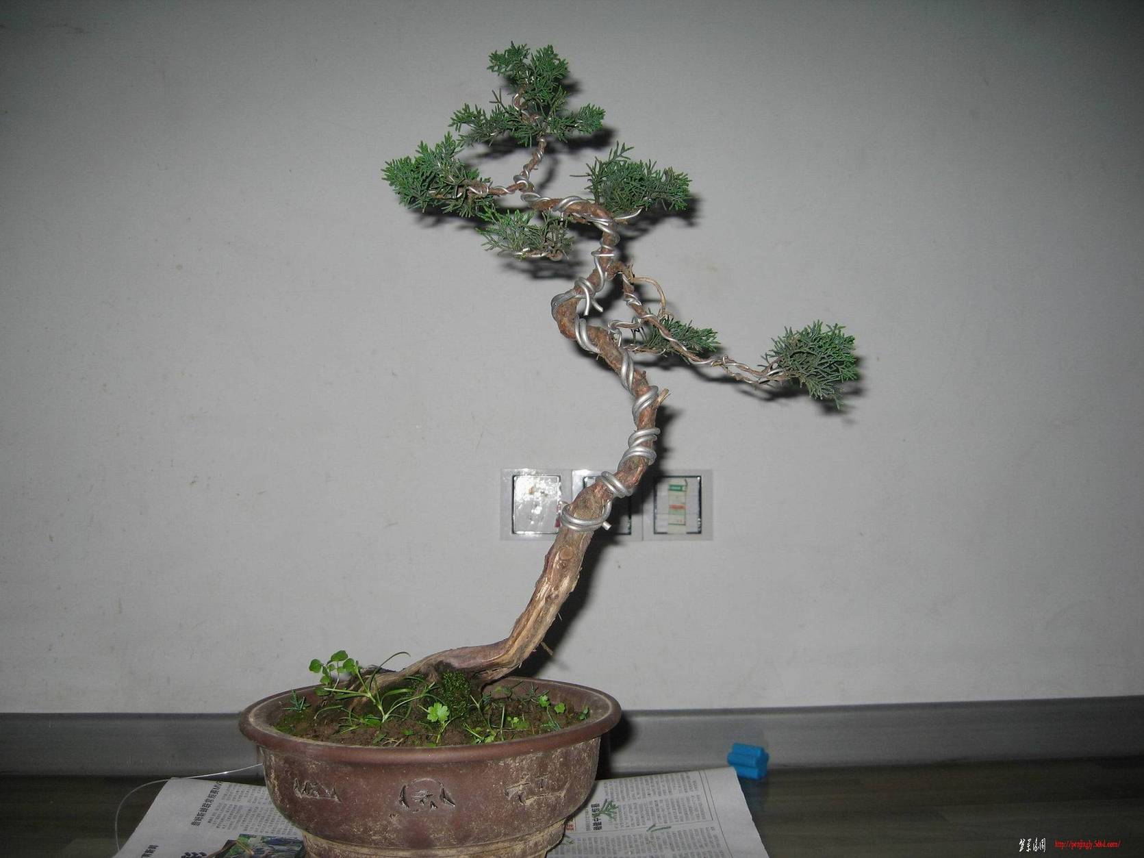 IMG003.jpg