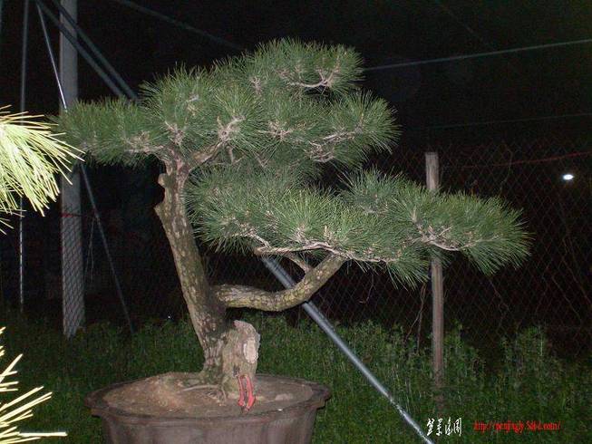 SANY0227.JPG