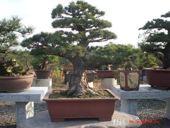 �ҵ��� 025.jpg