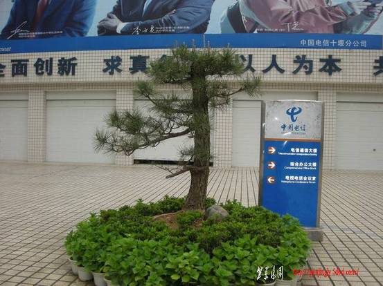 DSCN3685.JPG