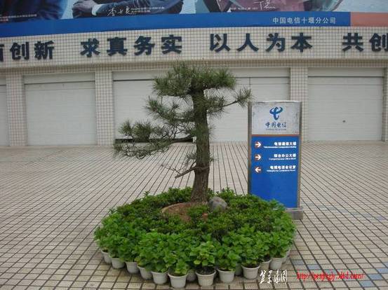DSCN3686.JPG