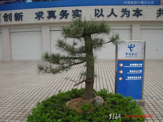 DSCN3687.JPG