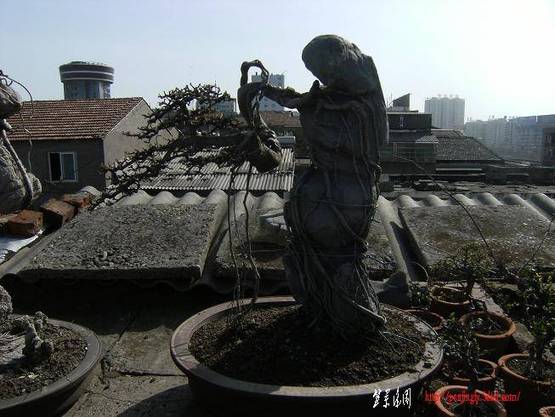 DSCF2605.JPG