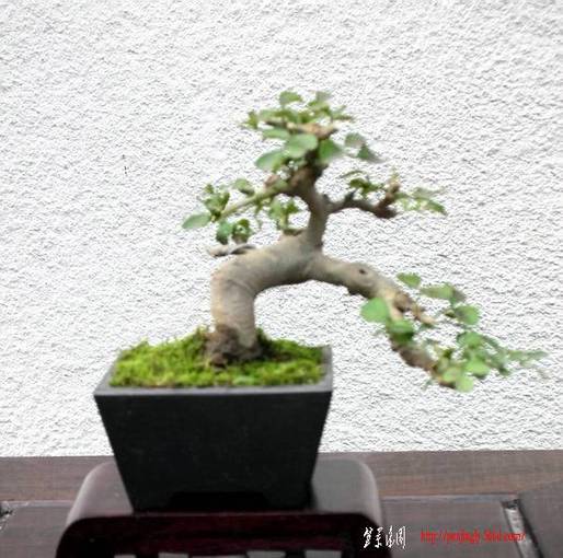 DSCN5285.JPG