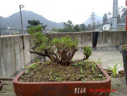 20100515657.jpg