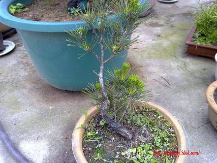 20100515655.jpg
