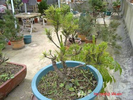 20100515659.jpg
