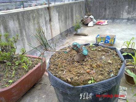 20100515660.jpg