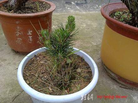 ת 20100515656.jpg